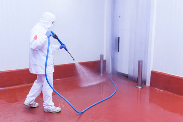 Best Solar Panel Cleaning  in Providence, KY