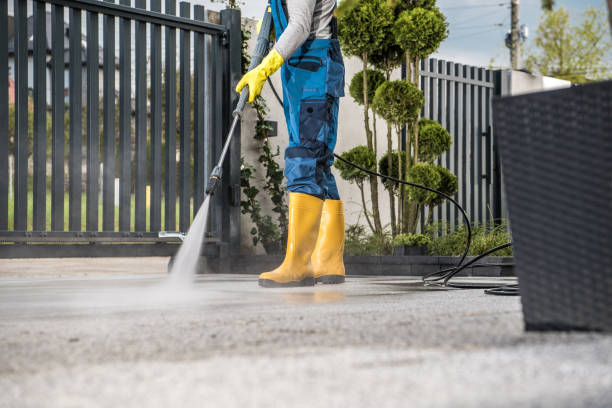 Best Patio and Deck Pressure Washing  in Providence, KY